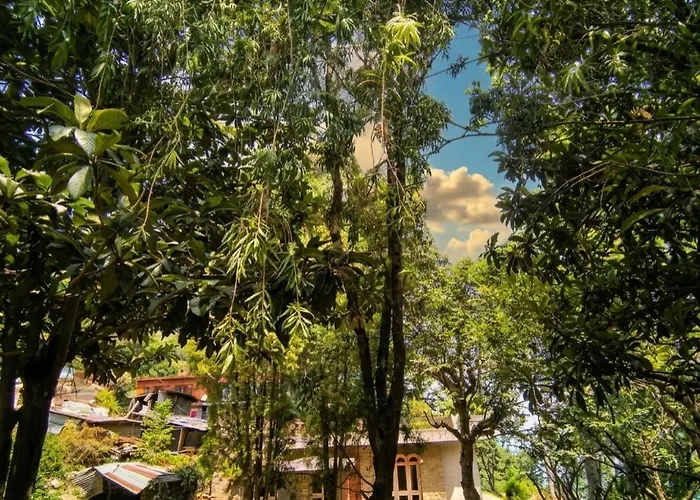 Pine Garden Hotel Kasauli Hills